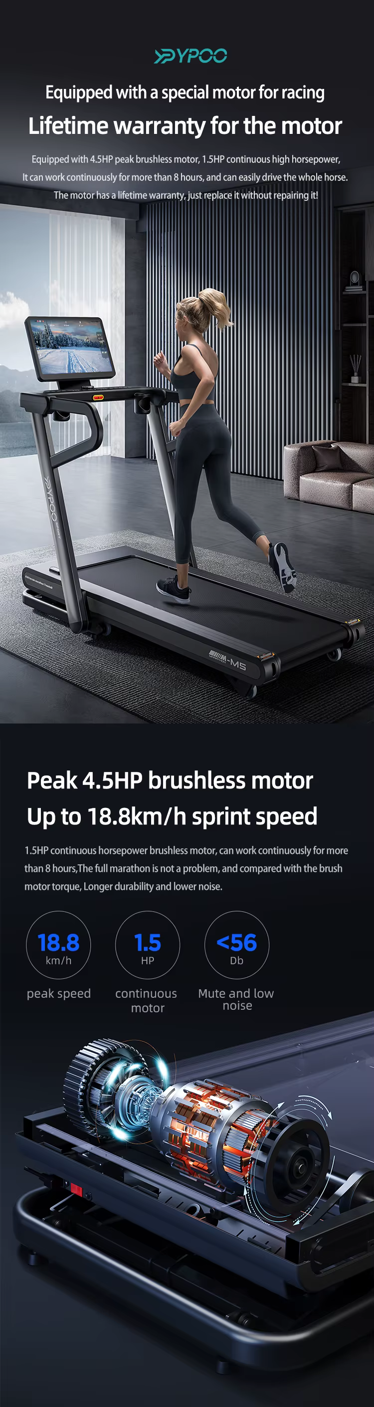 Treadmill detail 2