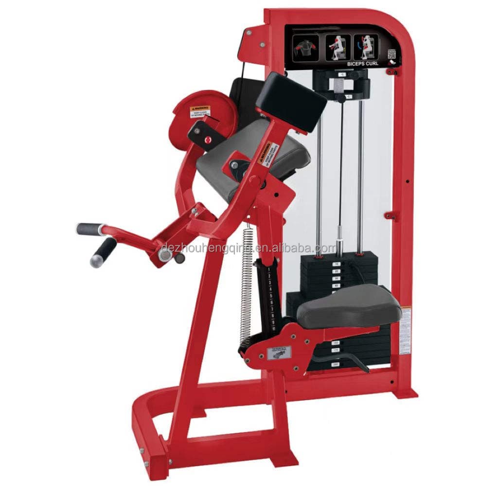 Biceps Curl thumbnail 3