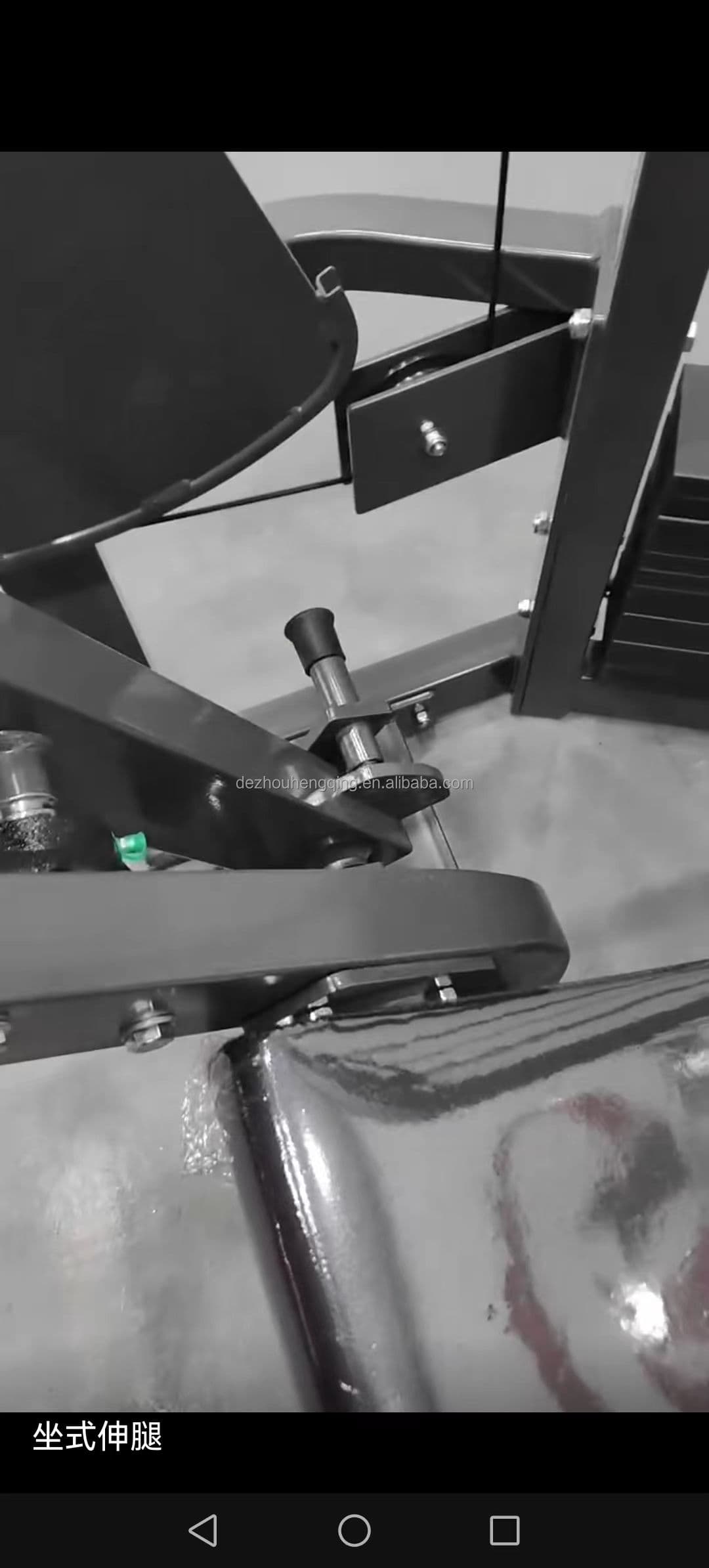 Leg Extension thumbnail 2