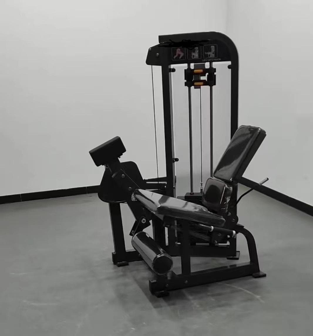 Leg Extension thumbnail 3