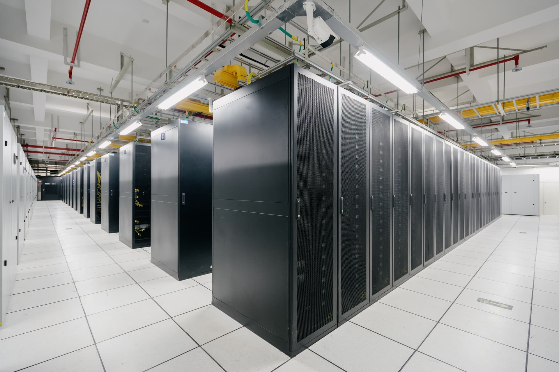 Leg Extention & Leg Curl thumbnail 2