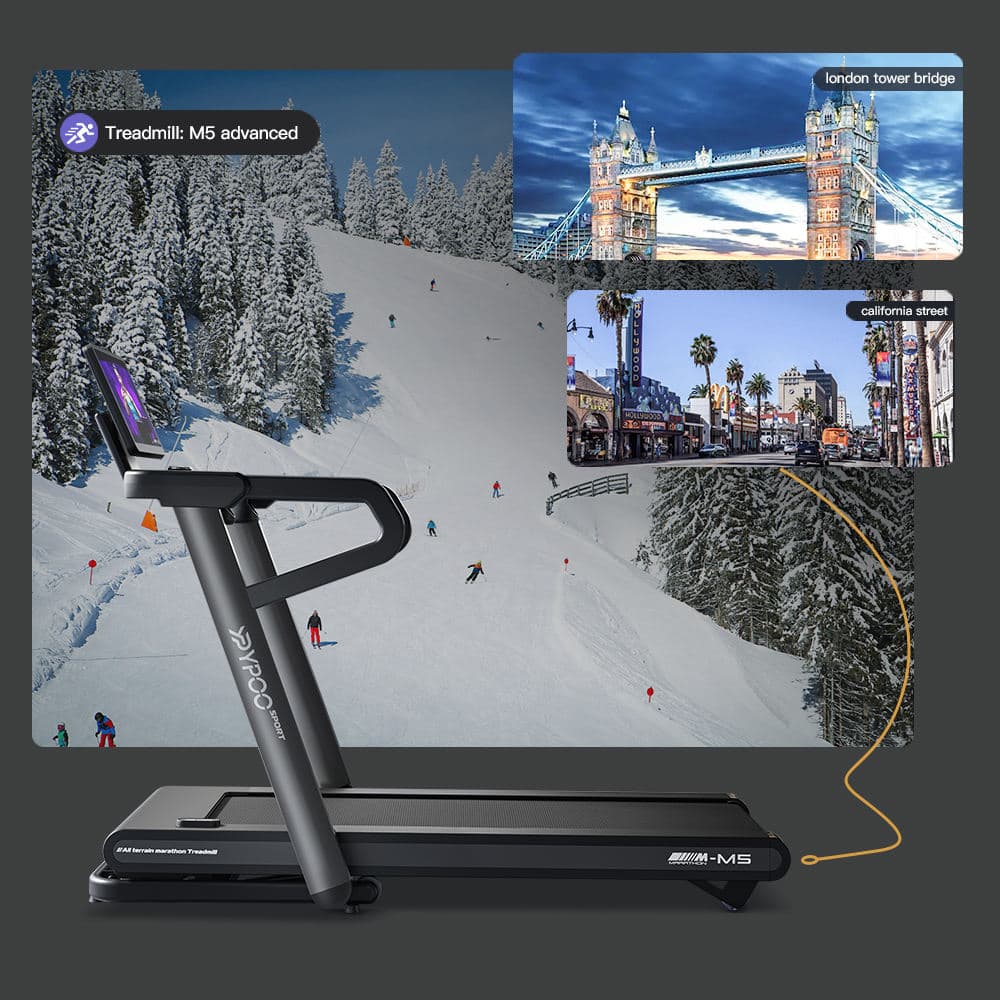 Treadmills - Image 1