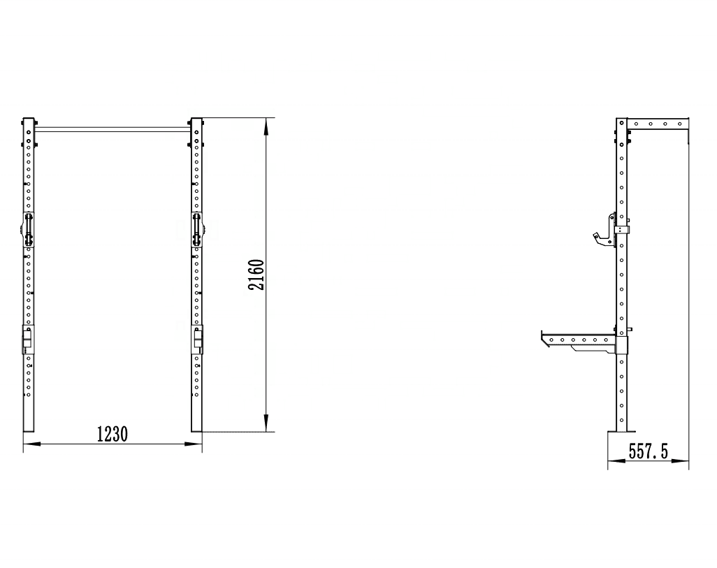 Black Half Wall Mounted Squat Rack